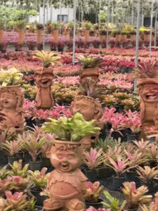 Маршрут по Wat Yansangwararam, Khao Chi Chan и Nong Nooch