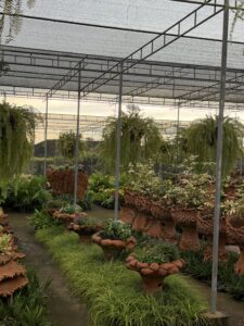 Маршрут по Wat Yansangwararam, Khao Chi Chan и Nong Nooch