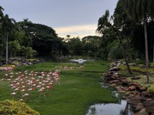 Маршрут по Wat Yansangwararam, Khao Chi Chan и Nong Nooch
