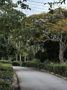 Маршрут по Wat Yansangwararam, Khao Chi Chan и Nong Nooch