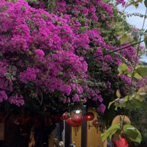 Самые популярные достопримечательности и места Дананга